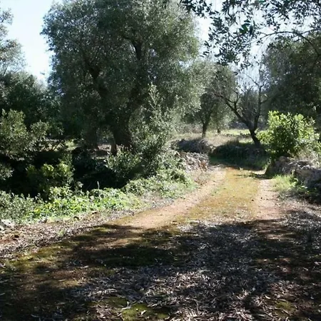 Calandra * Ostuni